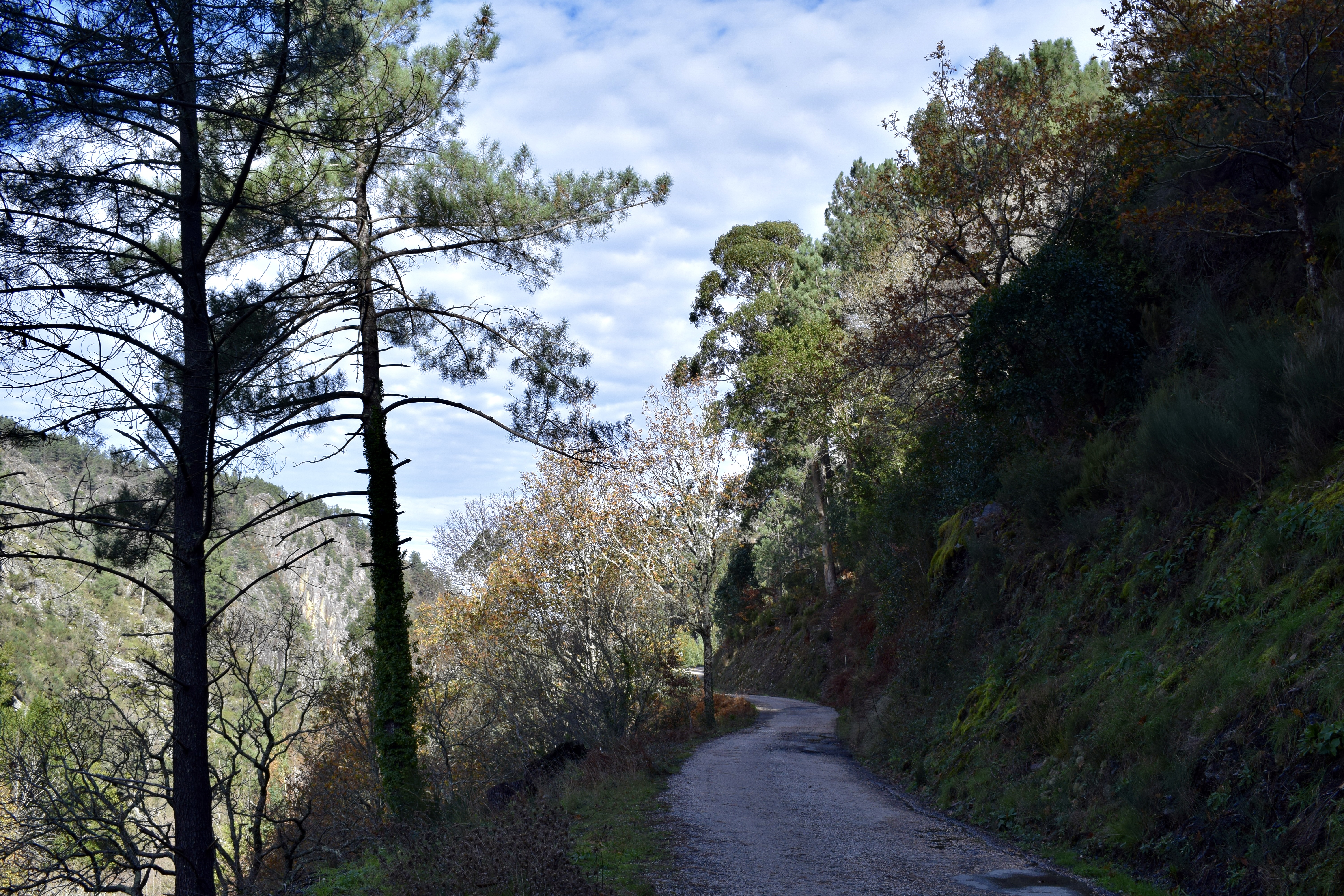 Caminhada até à pedreira
